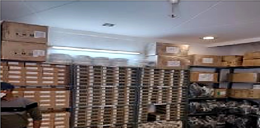 Racked and binned inventory inside a NEVO Distribution hub, sorted for daily dispatch